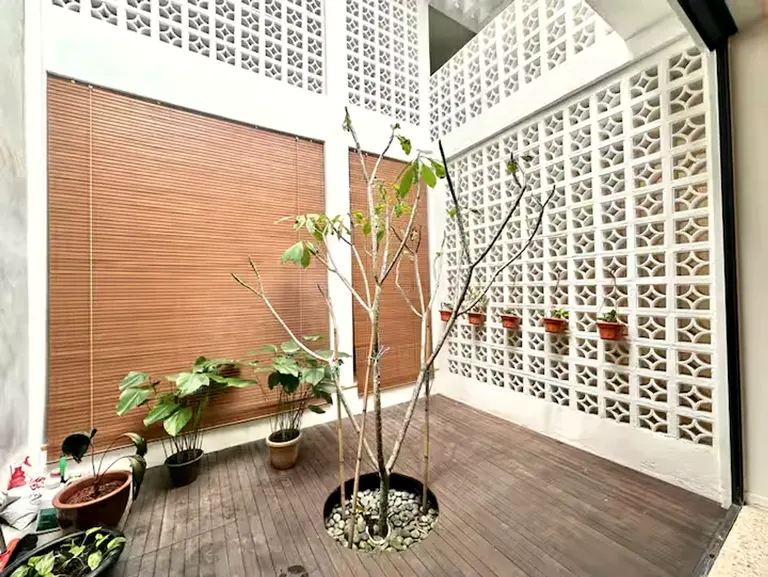 The air-well courtyard: white ventilation-block walls in two patterns, timber chick blinds, a young frangipani through a circle cut in the deck.